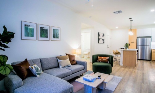 Which Floor Plan at Alma Apartments Fits Your Lifestyle? Cover Image