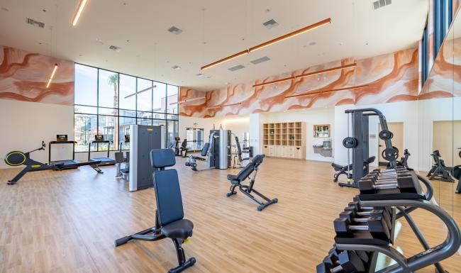 Get your workout on a gym with exercise equipment