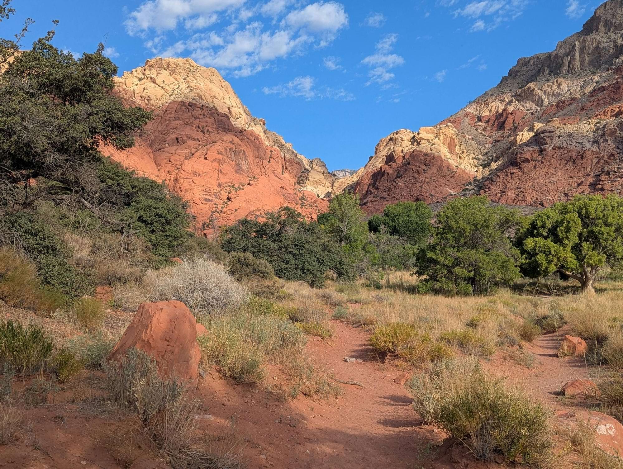 A dirt trail winding through dry brush and green trees leading toward tall red rock mountains under a blue sky.
